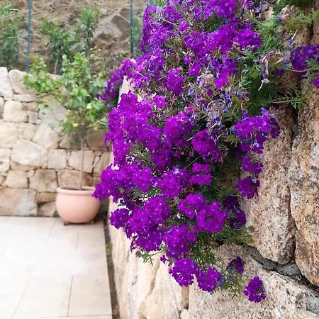 Con Piscina Privata