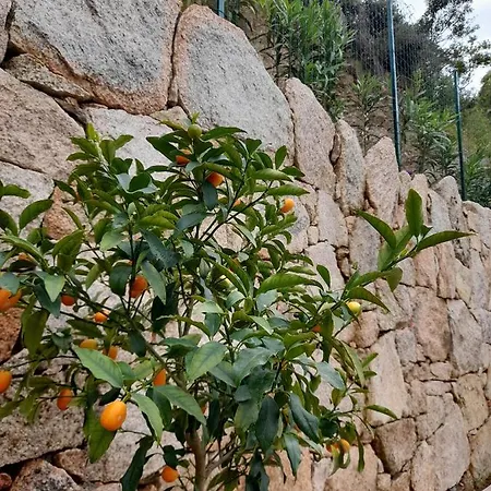 Con Piscina Privata